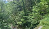 Trail Walking Saint-Laurent-en-Royans - Pont des Chartreux st Laurent en Royans  - Photo 2