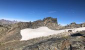 Percorso Marcia Névache - Vallée de la Clarée - Mont Thabor - Photo 13