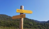 Tour Wandern Osani - Girolata Curzu - Photo 5