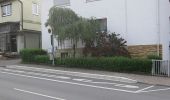 Percorso A piedi Schauenburg - Hoof - Bad Emstal - Photo 5