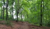 Trail Walking Gulpen-Wittem - 2021-07-01_13h51m24_077 - Photo 4