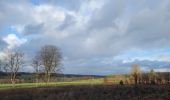 Trail Walking Vielsalm - rando bihain 19-11-2023 - Photo 2