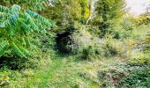Randonnée Marche Largny-sur-Automne - en Forêt de Retz_90_09_2021_la Selve - Photo 20