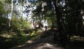 Tocht Mountainbike Virton - Le site de l'étang de l'Ilé - Balade_VTT_41Kms - Photo 12