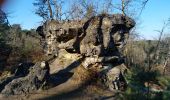 Trail Walking Fontainebleau - viennes carosses - Photo 6