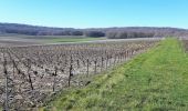 Randonnée Marche Barbonne-Fayel - dans le vignoble Champenois autour de BARBONNE-FAYEL - Photo 5