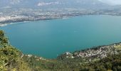 Tour Wandern La Chapelle-du-Mont-du-Chat - DENT DU CHAT & MOLARD NOIR - Photo 2