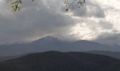 Tour Wandern Céret - Céret pont du Diable . Saint Feriol (boucle sens aiguilles de la montre) - Photo 7