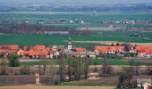 Tour Zu Fuß Zobten am Berge - Strzeblów - Jordanów Śląski - Photo 3