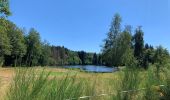 Tour Wandern Écromagny - Plateau des milles étangs  - Photo 3