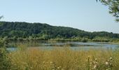 Tour Wandern Osselle-Routelle - Osselle sablière - Photo 14