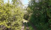 Trail Walking Sisteron - Sisteron - Molard - Photo 1