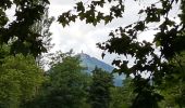 Excursión Senderismo Sélestat - Sélestat le Grand Ried - balade dans la forêt de l'II - passerelles - Photo 1