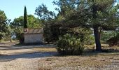 Randonnée Marche Roquefort-la-Bédoule - Le Grand Caunet/ Chap St André/vieux Roquefort  - Photo 15