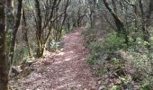 Trail Walking Salavas - 07 salavas pont de arc rieussec - Photo 14