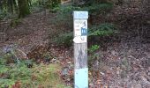 Trail Walking Lepuix - Giromagny - sentier des mines - 2 à visiter - Photo 7