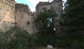 Tour Zu Fuß Vins-sur-Caramy - Vins sur Caramy lac ste Suzanne grotte des résistants... - Photo 10