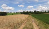 Tour Wandern Dinant - FOY GPX BERLAGE - Photo 14