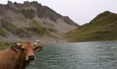 Tour Wandern Aime-la-Plagne - 2024-09-08 Marche Tour Beaufortain Refuge Coire vers Refuge Presset - Photo 3