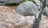 Excursión Marcha nórdica Fontainebleau - Âpremont les gorges  - Photo 2