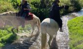 Tour Reiten Feitweiler - La Strange x - Photo 7