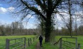 Trail Walking Holsbeek - Sin Pieter Rode  - Photo 9