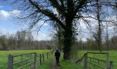 Tocht Stappen Holsbeek - Sin Pieter Rode  - Photo 9