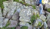 Randonnée Marche Laveissière - lioran 2023-08-08 plomb du Cantal - Photo 3