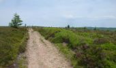 Randonnée A pied Unknown - Black Mountains Fell Race - Photo 1