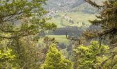 Trail Walking Feldberg - Neuglashütten -Feldberg - Photo 13
