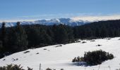 Excursión Raquetas de nieve Les Angles - raquettes pla del mir lac d'Aude  - Photo 1