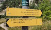 Trail Walking Ceillac - Boucle crête du Riou Vert et  Col de Bramousse - Photo 1
