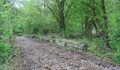 Randonnée A pied Beverungen - Erlesene Natur - Wo der Bock zum Gärtner wird - Photo 8