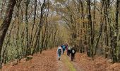 Trail Walking Le Porge - Le porge - Photo 1