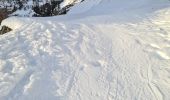 Trail Touring skiing Arvieux - Pic des chalanches - Photo 4