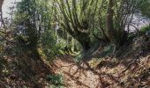 Randonnée Marche Bellême - Bellême - Mauves-sur-Huisne 14 km - Photo 8