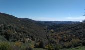 Excursión Senderismo Soudorgues - Mont Brion - La Salindrinque - Photo 1