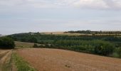 Randonnée Marche Bergicourt - bergicourt - Photo 4