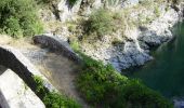 Percorso A piedi Airole - Sentiero Balcone Mediterraneo T2 - Photo 9