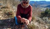 Trail Walking Sisteron - SISTERON . LE BOIS DE LA BUCHE . ROCHER DU TURC . CRETE DU MOLLARD . BATISTON PAUL ARENE . O  L - Photo 4