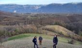 Excursión Senderismo Varacieux - Le Molard d'Essemat- Varacieux - Photo 4