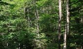 Trail Walking La Roche-des-Arnauds - Serigons - Rabou par petit Buëch  - Photo 2