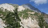 Tocht Stappen Pralognan-la-Vanoise - Pralognan - le petit mont Blanc a - Photo 9