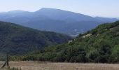 Tocht Stappen Dieulefit - Chapelle saint Maurice par le sentier du cochon - Photo 3