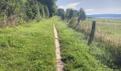 Tocht Elektrische fiets Assesse - Crupet -Maillen - Photo 2