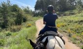Trail Horseback riding Urriés - Bardenas jour 2 - Photo 8