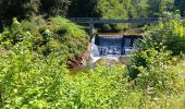 Tocht Stappen Villard-Saint-Sauveur - cascade de flumen - saut du chien - retour en partie par la route  - Photo 10