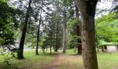 Trail Walking Gorniès - L’oppidum de la culasse - Photo 2