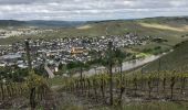 Tour Wandern Leiwen - Zummeterhof 19 km - Photo 19