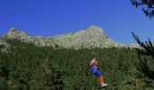 Percorso A piedi Navacerrada - Senda del Valle de la Barranca - Photo 2